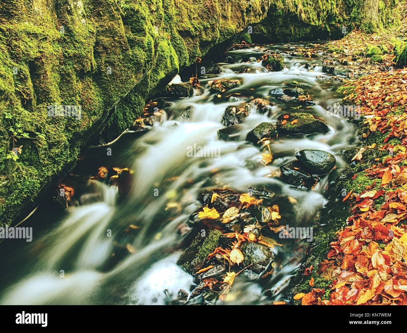 Weir in mountain stream. Colorful leaves on stones in cold dark water. Shinning bubbles create bright trails on water level. Dark green mossy boulder Stock Photo