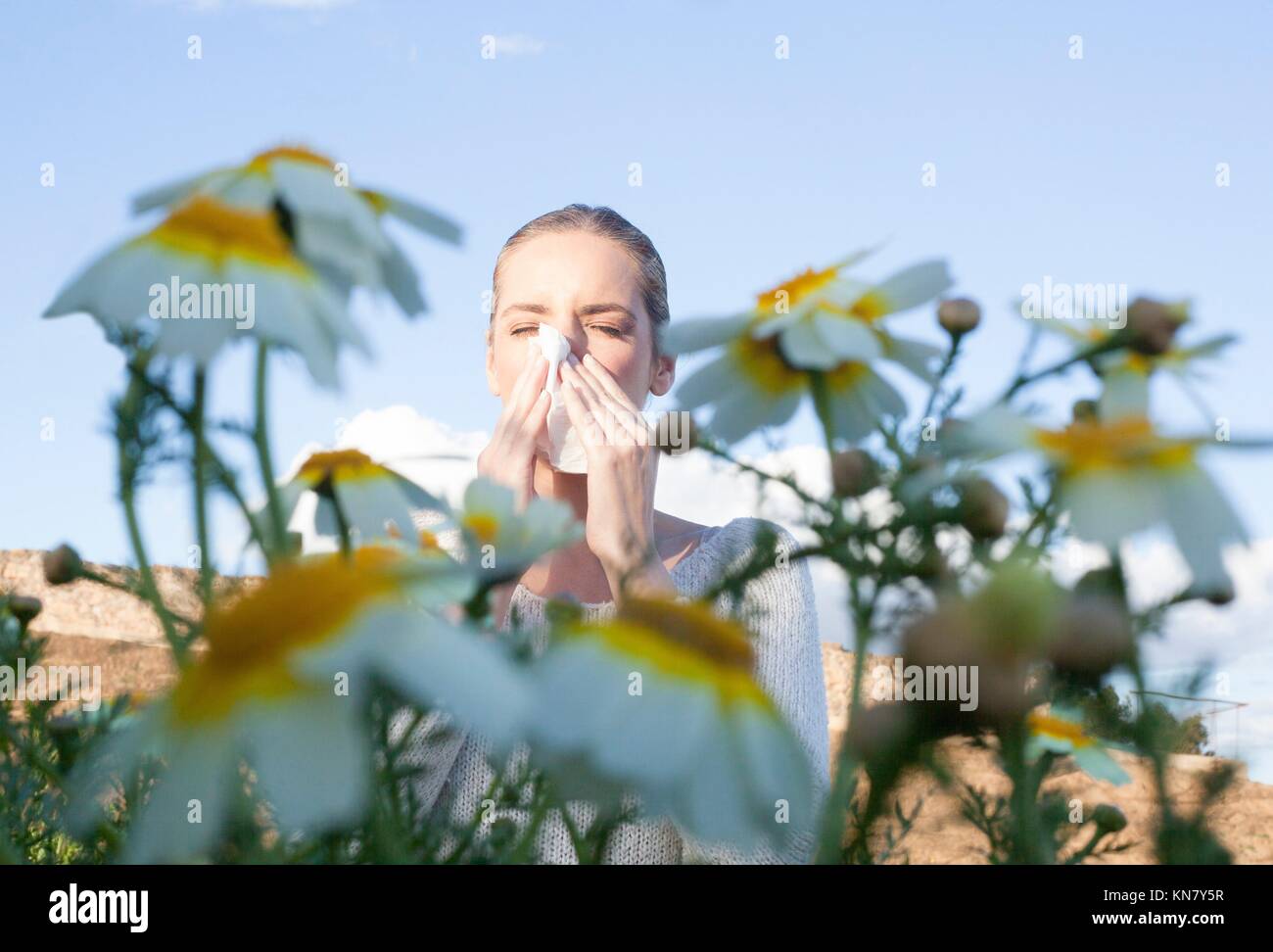 Sneezing hires stock photography and images Alamy