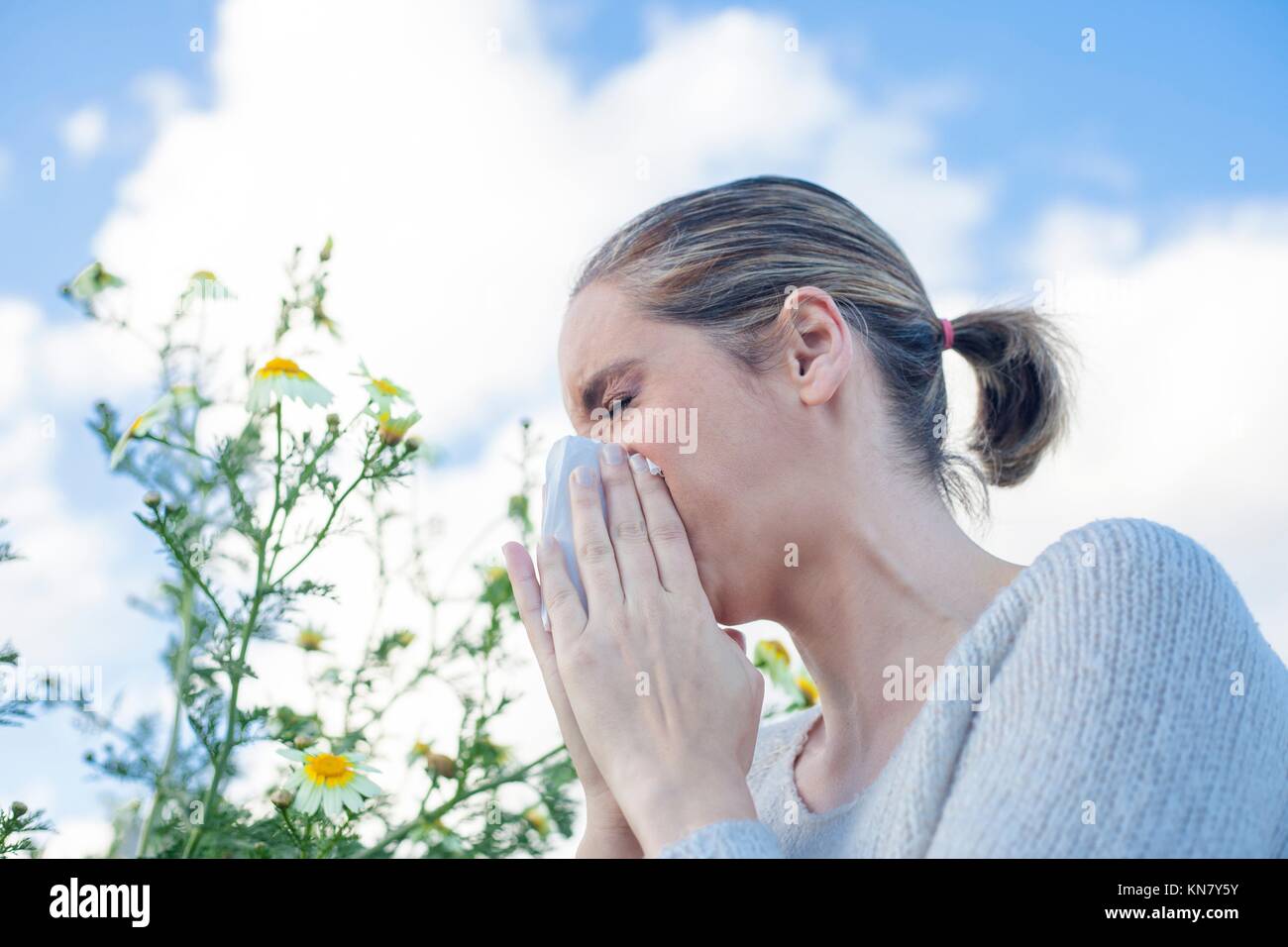 Young woman sneezing in a daisy flowers meadow. She is allergic to flowers. Stock Photo