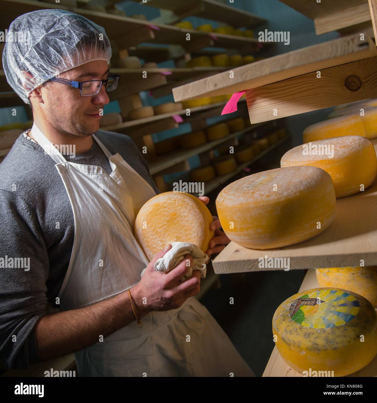Cheese maker cleaning cheeses in his Stock Photo Alamy