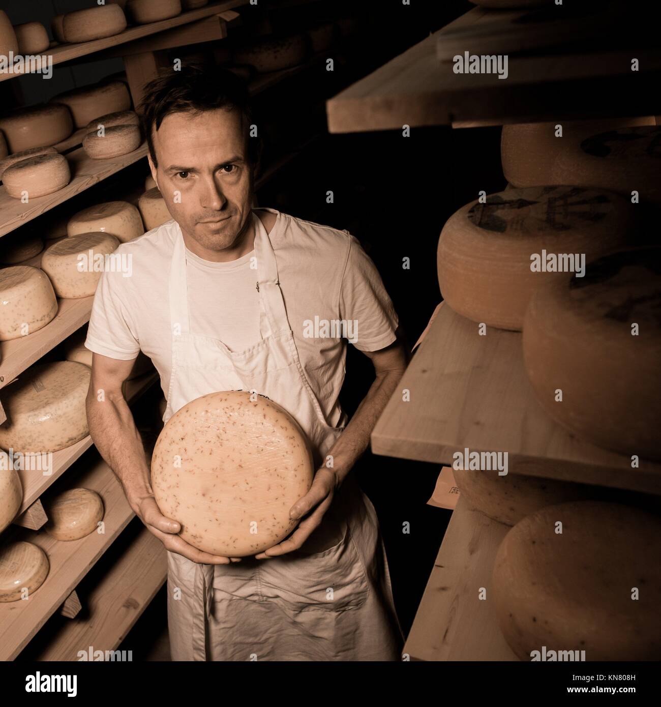 Cheese maker cleaning cheeses in his Stock Photo Alamy
