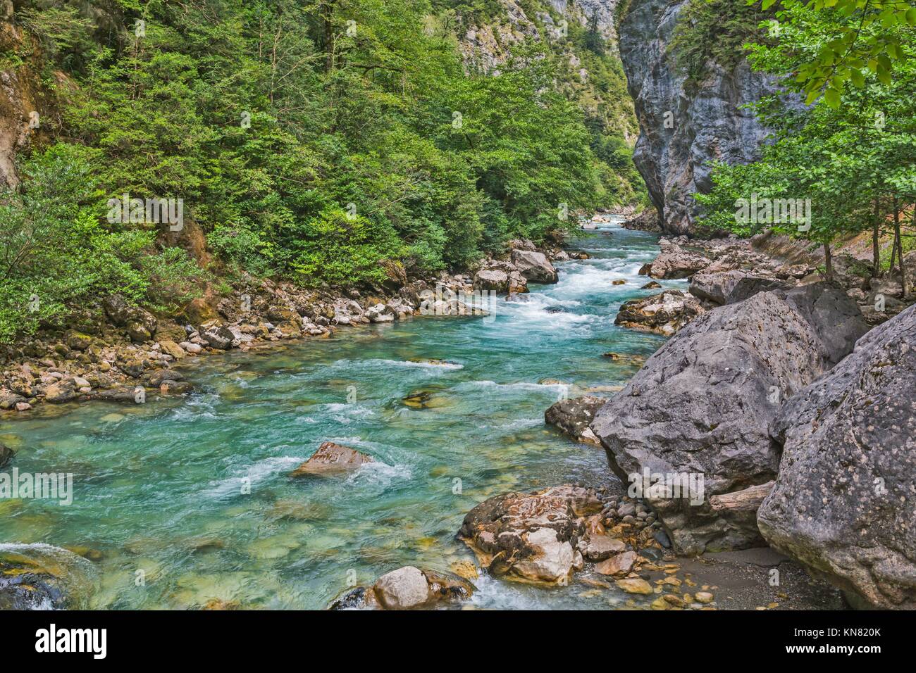 Mountain river flowing by the gorge with rocks and trees, Abkhazia, Caucasus mountains Stock Photo