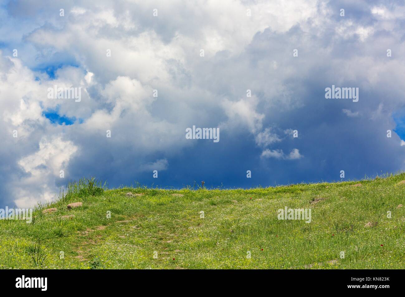 Hill with grass on cloudy sky background. Stock Photo