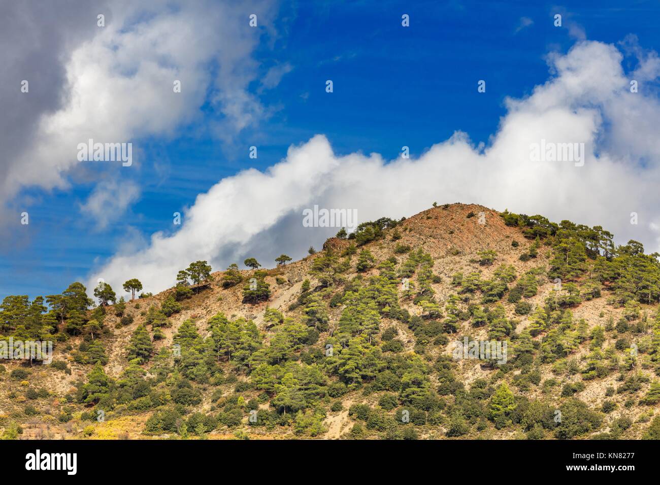Landscape with hills and bushes in Troodos mountains, Cyprus. Stock Photo