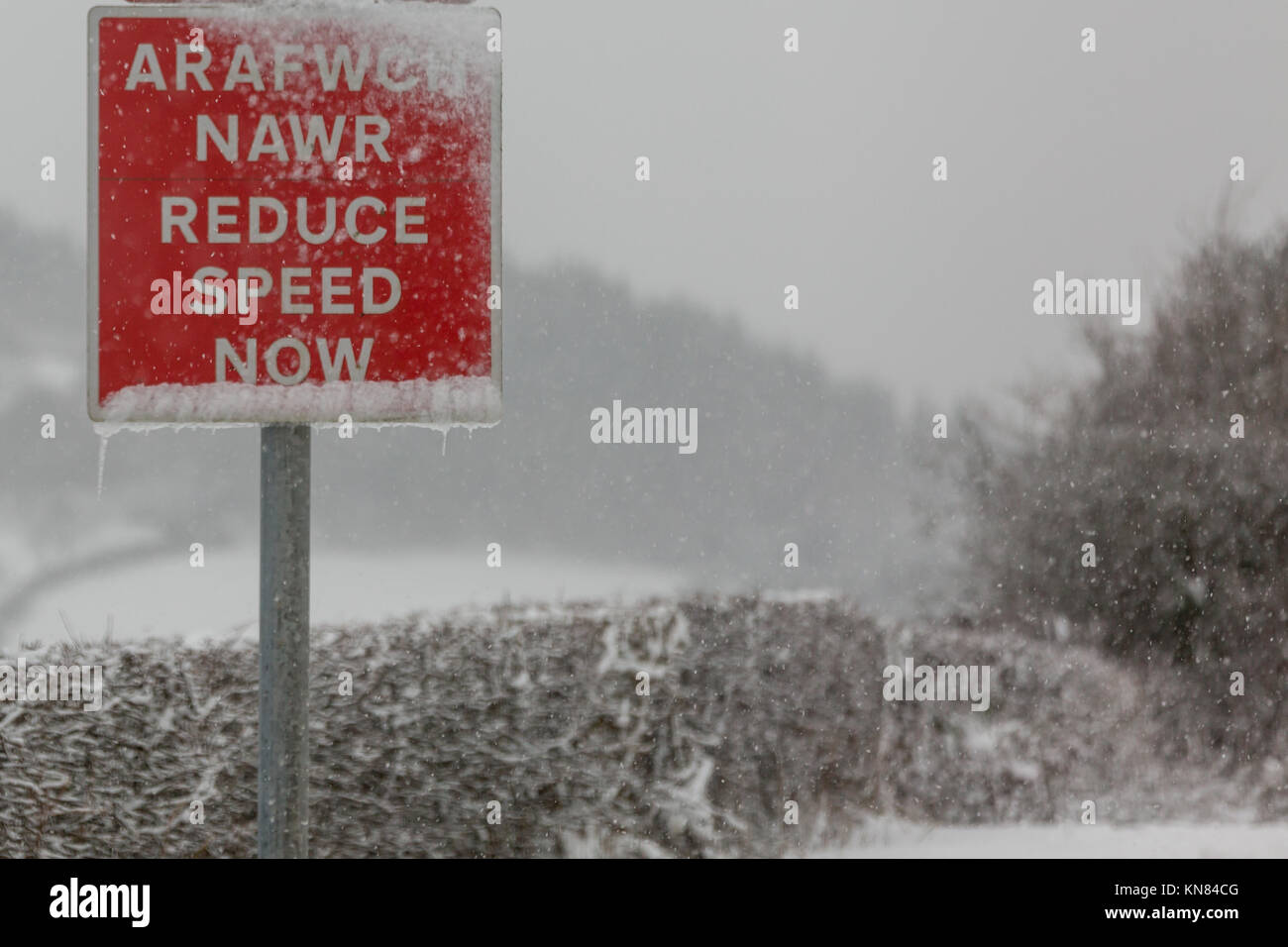 UK Weather: Reduce speed now sign along the B4340 in Ceredigion, mid ...