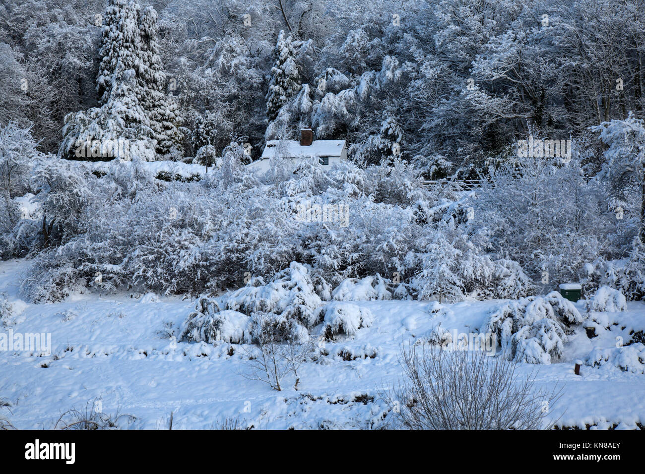 Shropshire. 11th Dec, 2017. UK Weather: Towns and villages acrsoos Shropshire awoke to more snow overnight. However, it seems the worst is over and no more snow is forecast today. Credit: Rob Carter/Alamy Live News Stock Photo