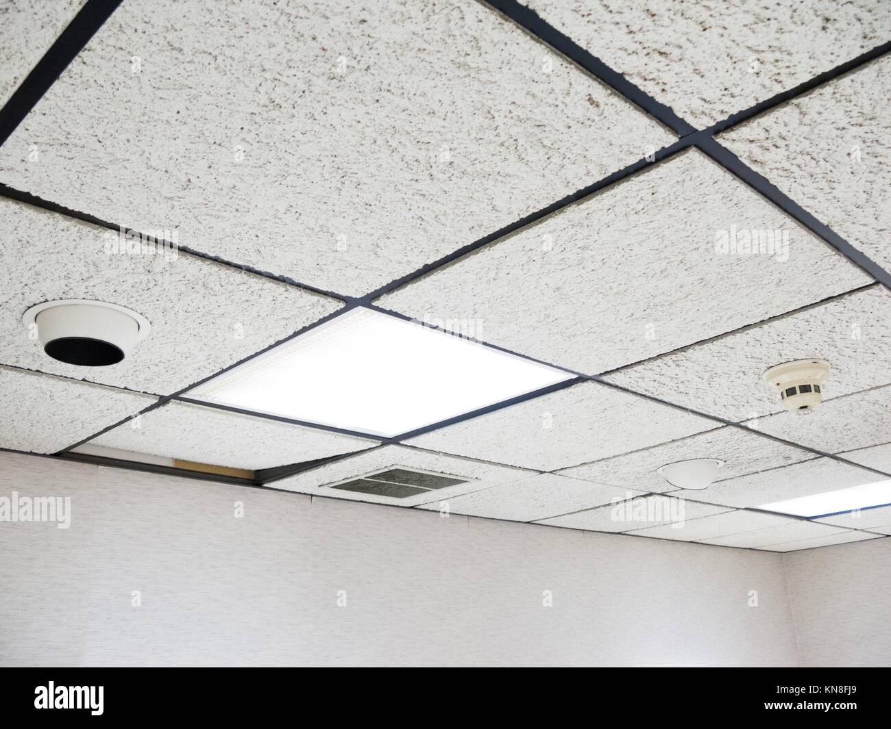 Office drop ceiling with white flourescent lights Stock Photo Alamy