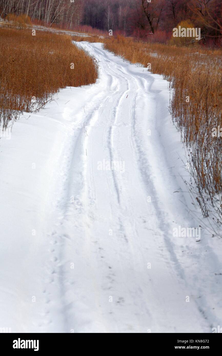 Road in winter forest white snow, tree, field. Stock Photo