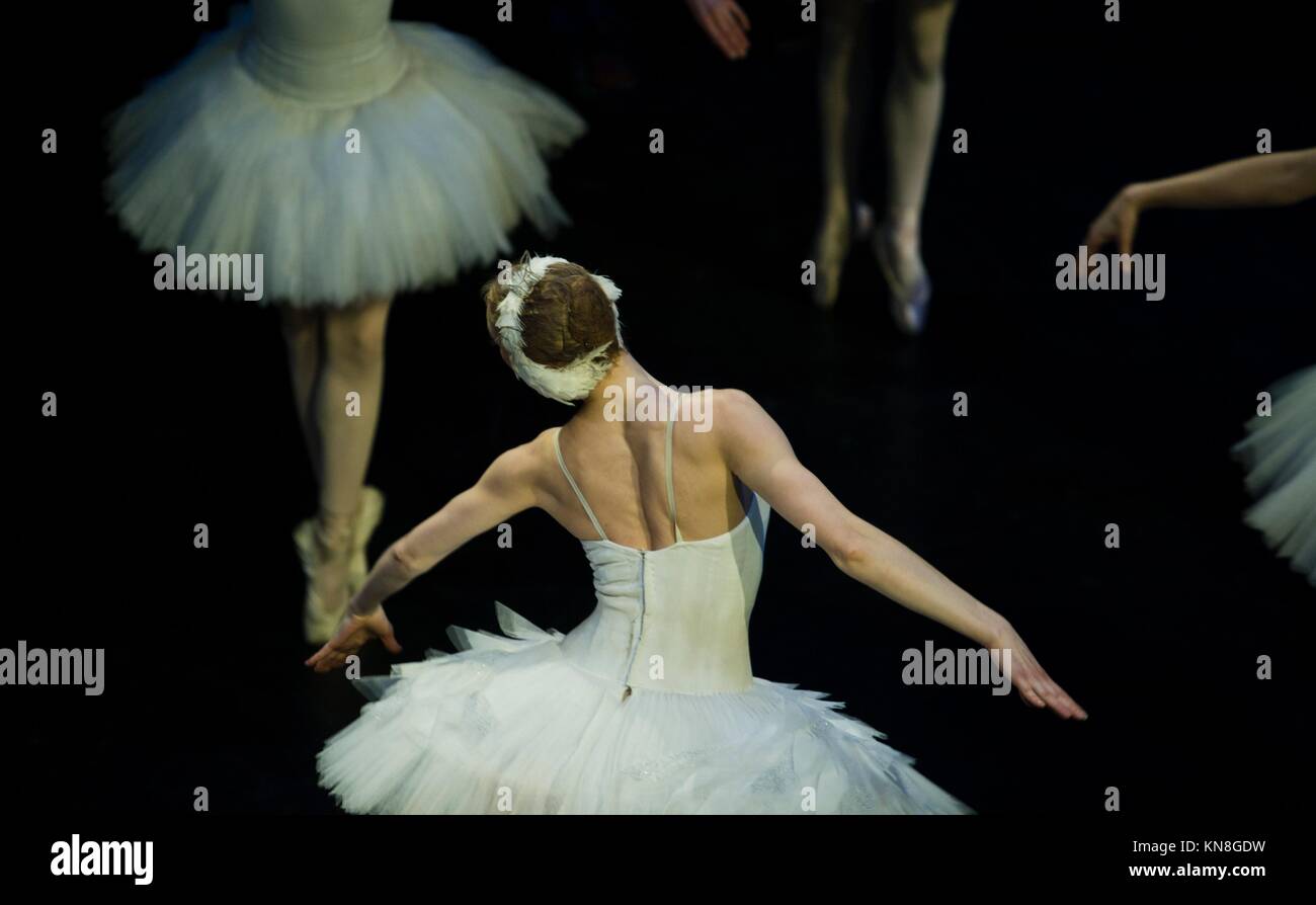 Odette flys in the performance of Swan Lake of Pyotr Tchaikovsky and Petipa. Stock Photo