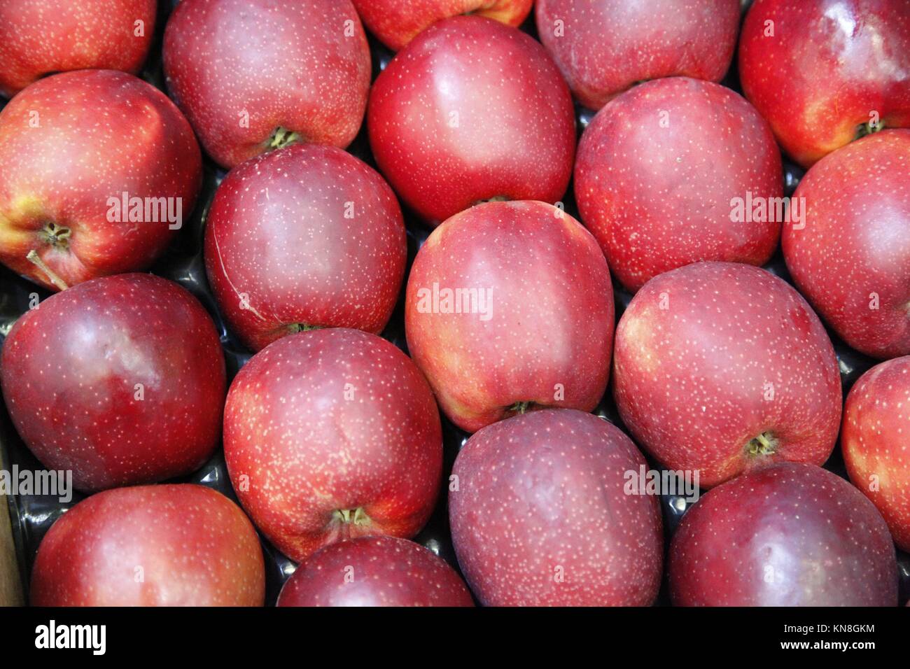 Red apples. Stock Photo
