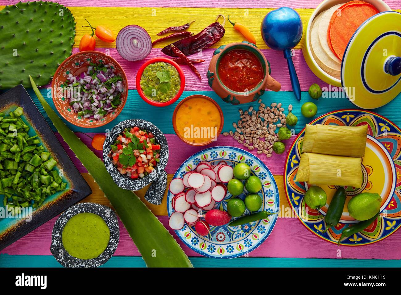 Mexican food mix with sauces nopal and tamale agave guacamole. Stock Photo