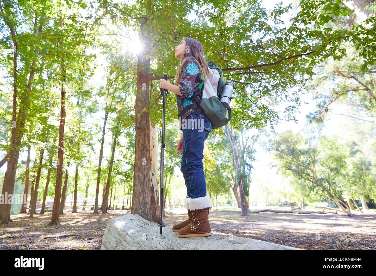 Hiker girl with hiking pole and backpack in forest full length. Stock Photo