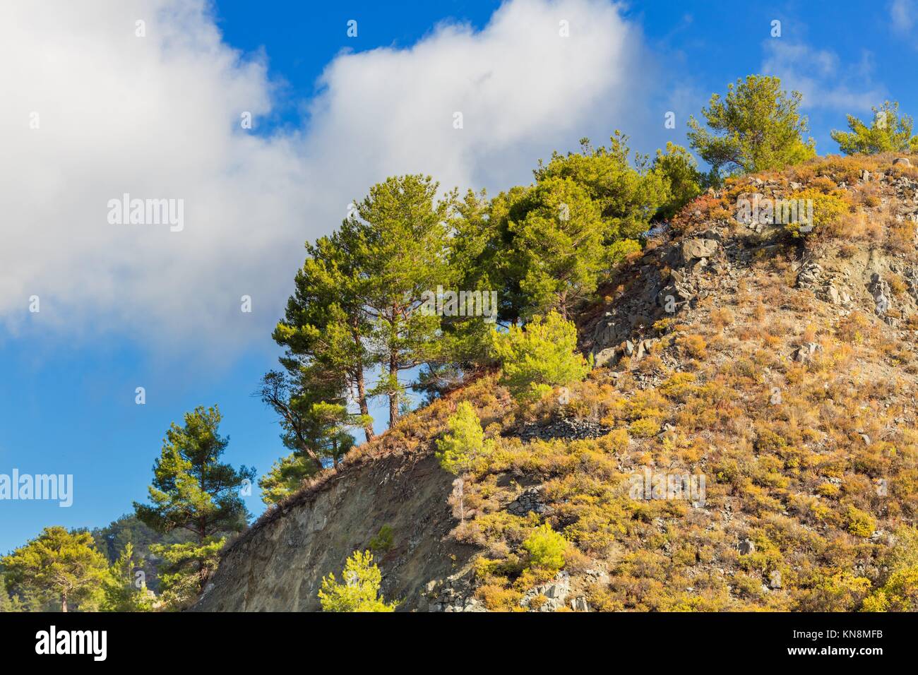 Landscape with hills and bushes in Troodos mountains Cyprus. Stock Photo