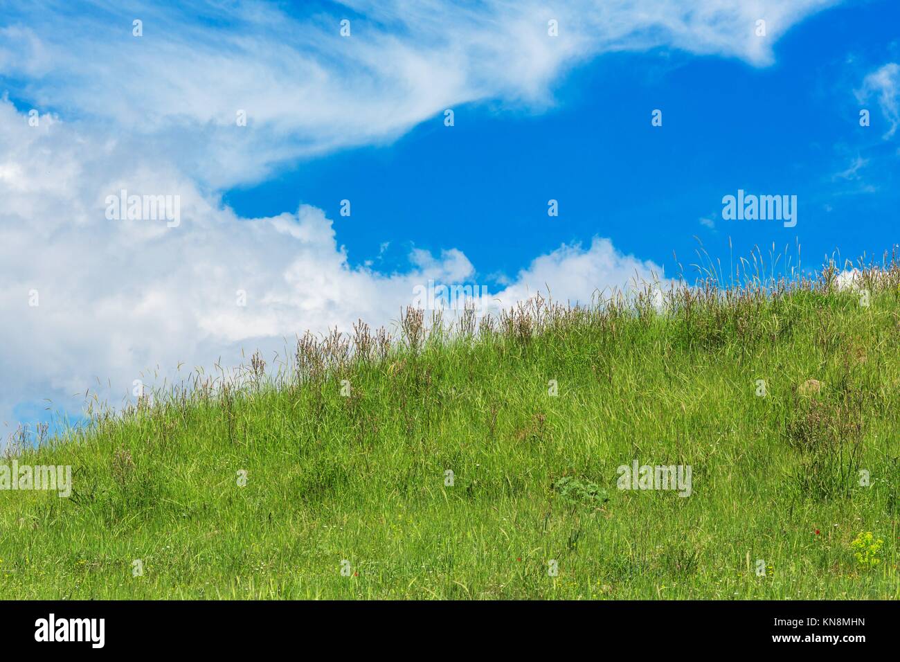 Hill with grass on cloudy sky background, Bergama, Izmir Province, Turkey Stock Photo