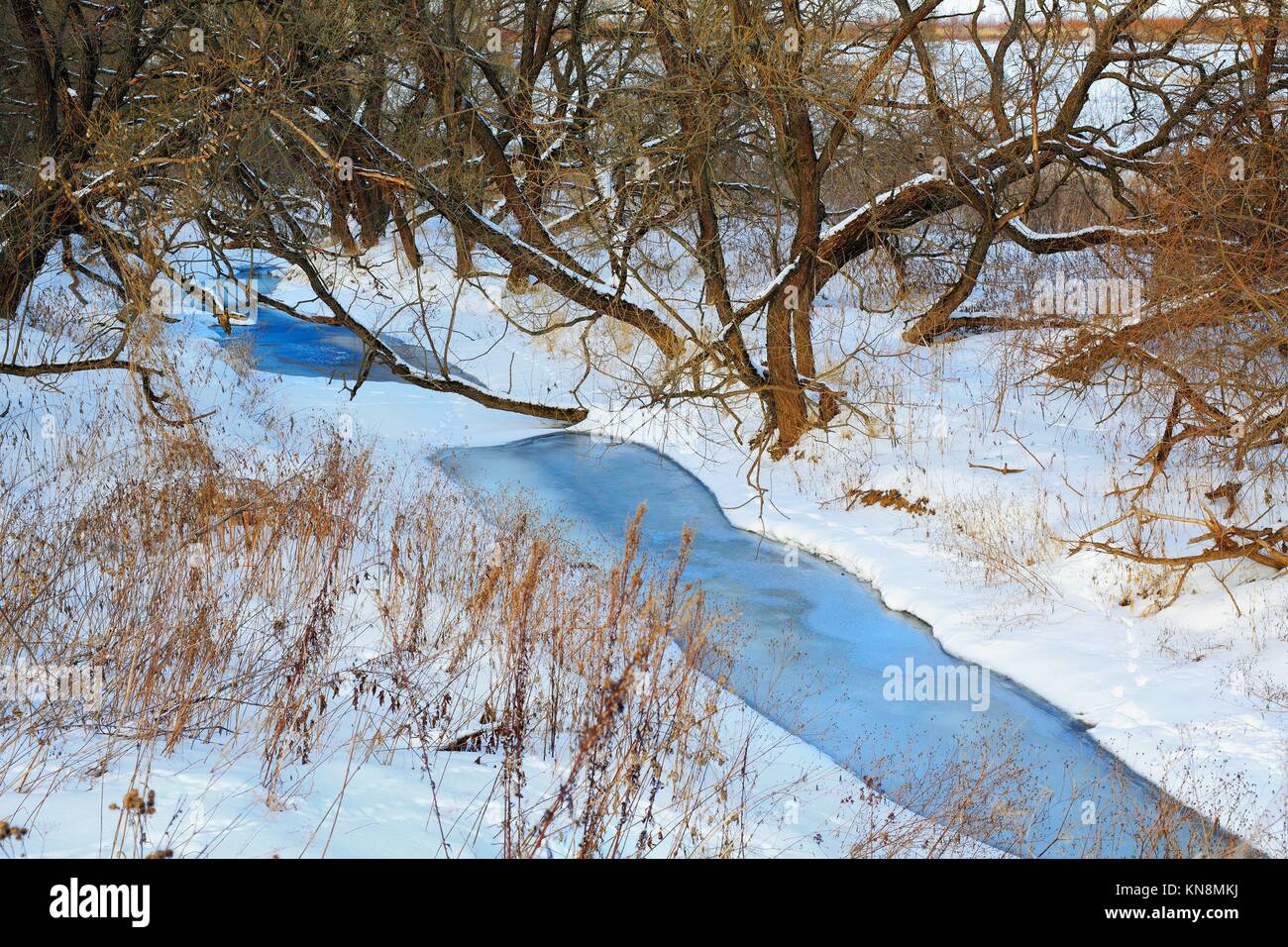 River in winter forest white snow water riverbank, Russia, Moscow region Stock Photo