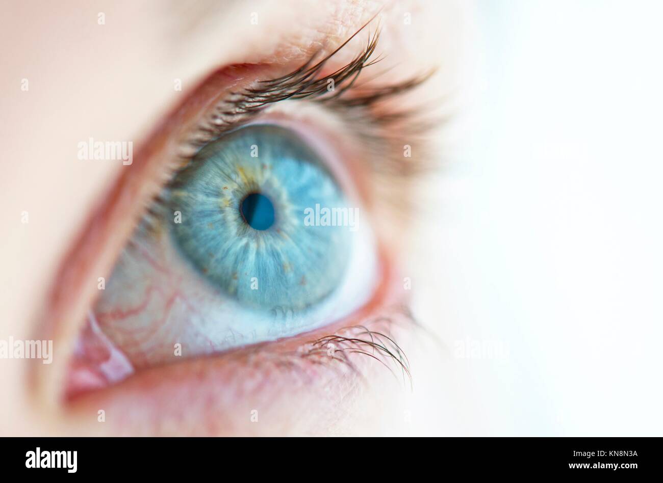 Close up young womans blue hi-res stock photography and images - Alamy
