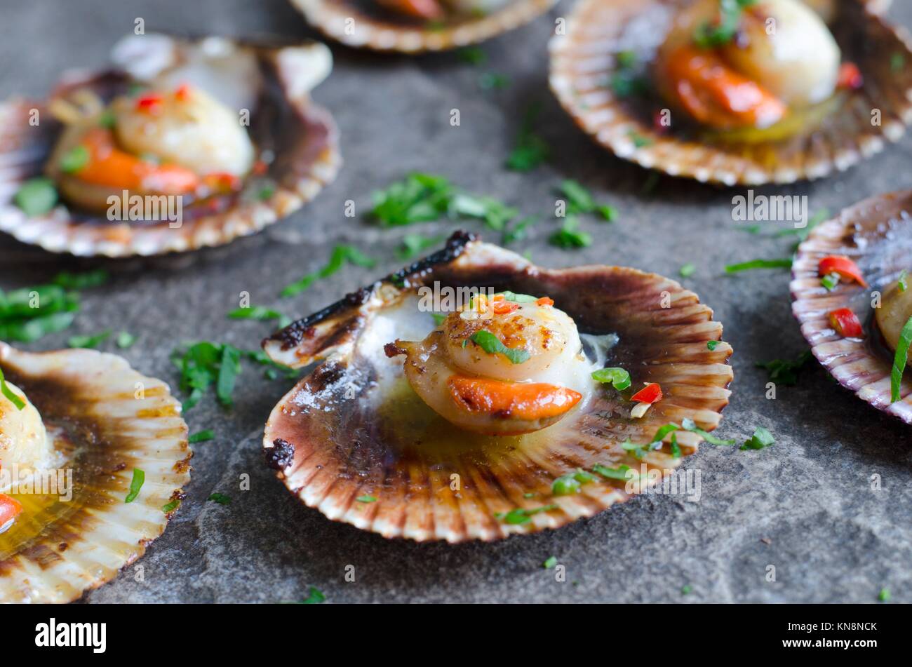 Scallops with chilli and garlic butter Stock Photo Alamy