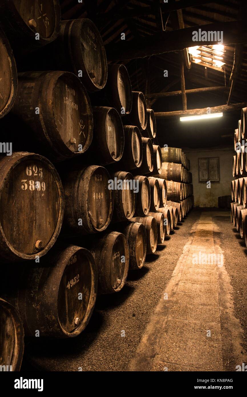 Old Barrels in the wine cellar, Porto, Portugal Stock Photo Alamy