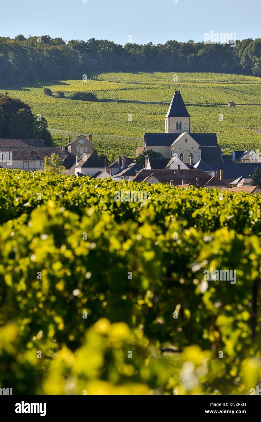Champagne vineyards and church in Marne department, ChampagneArdennes