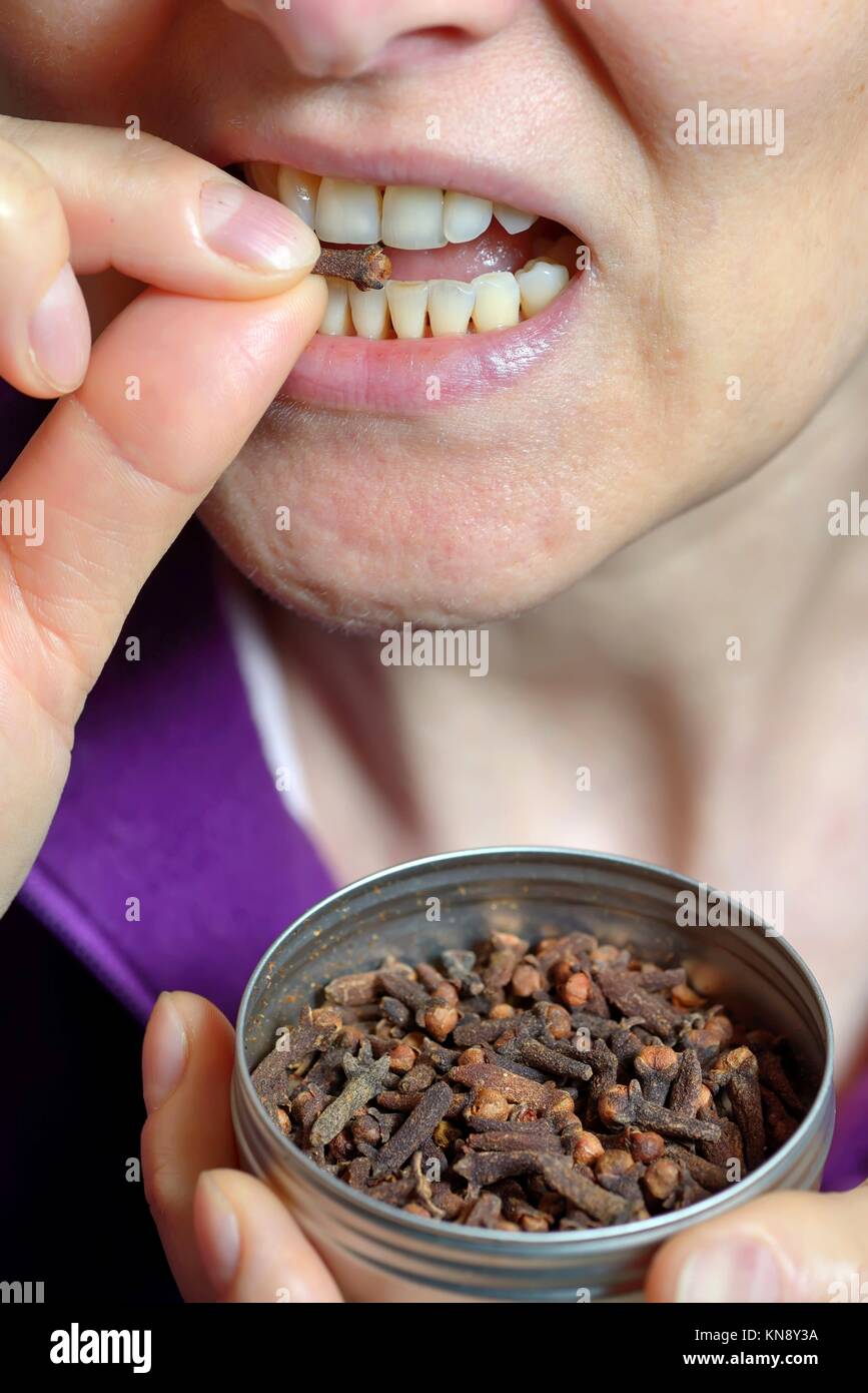 Woman chew dried clove spice for fresh breath Stock Photo Alamy