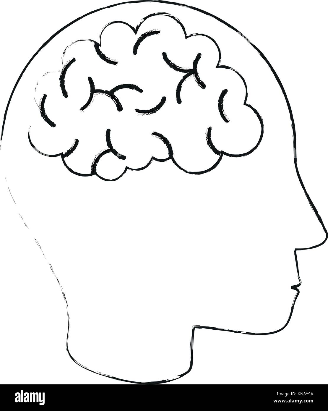Human brain isolated Stock Vector Image & Art - Alamy