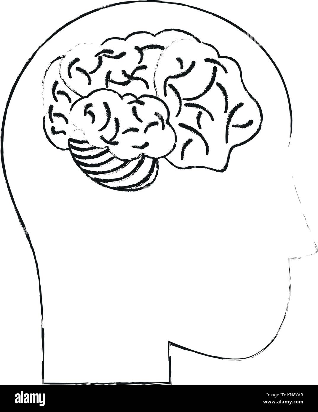 Human brain isolated Stock Vector Image & Art - Alamy