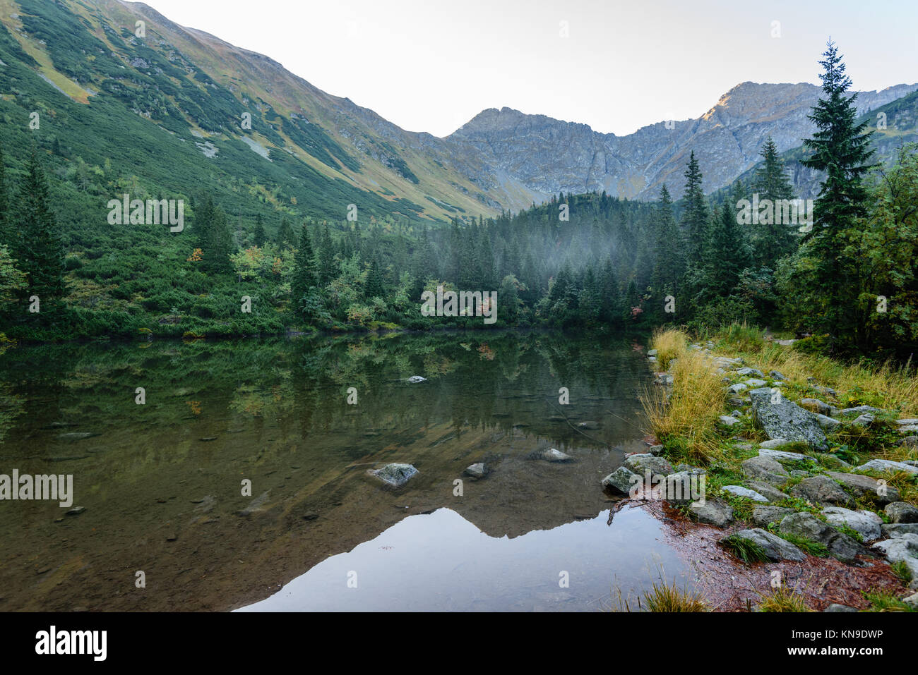 reflections of trees in the lake water at sunrise with morning mist ...