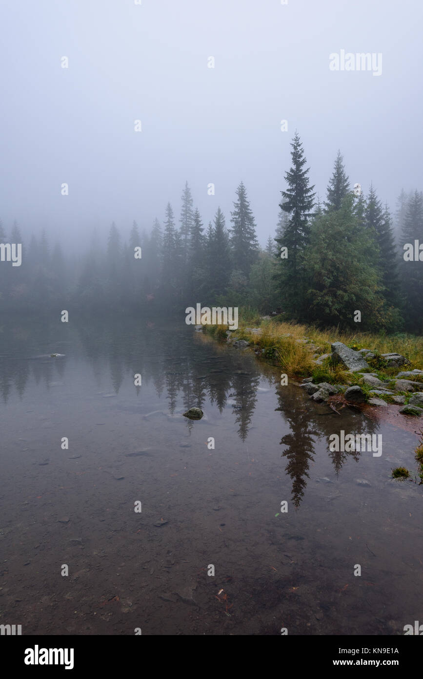 reflections of trees in the lake water at sunrise with morning mist ...