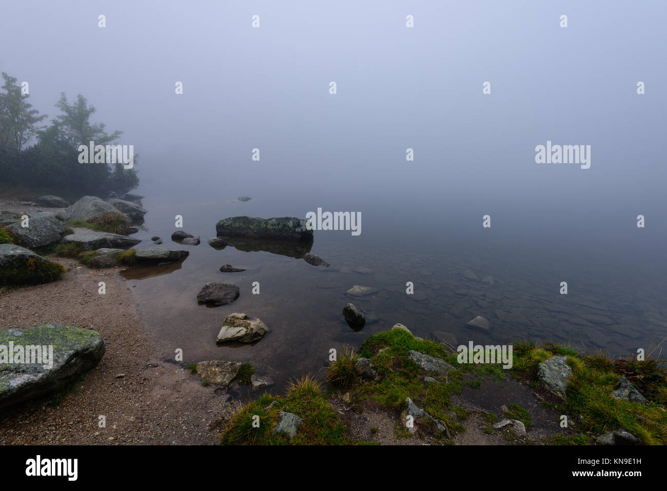 reflections of trees in the lake water at sunrise with morning mist ...