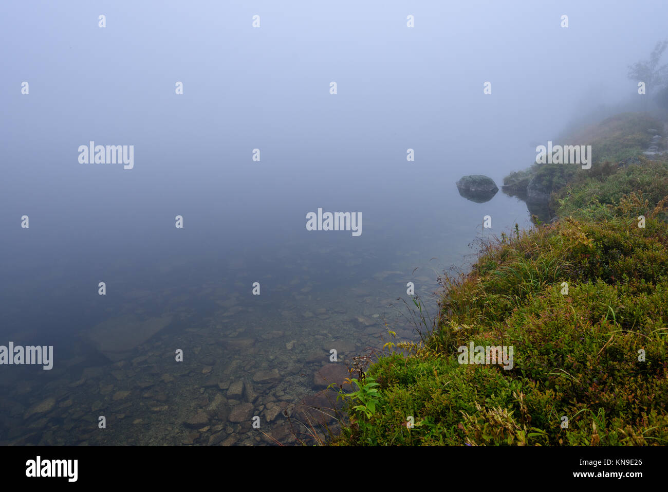 reflections of trees in the lake water at sunrise with morning mist ...