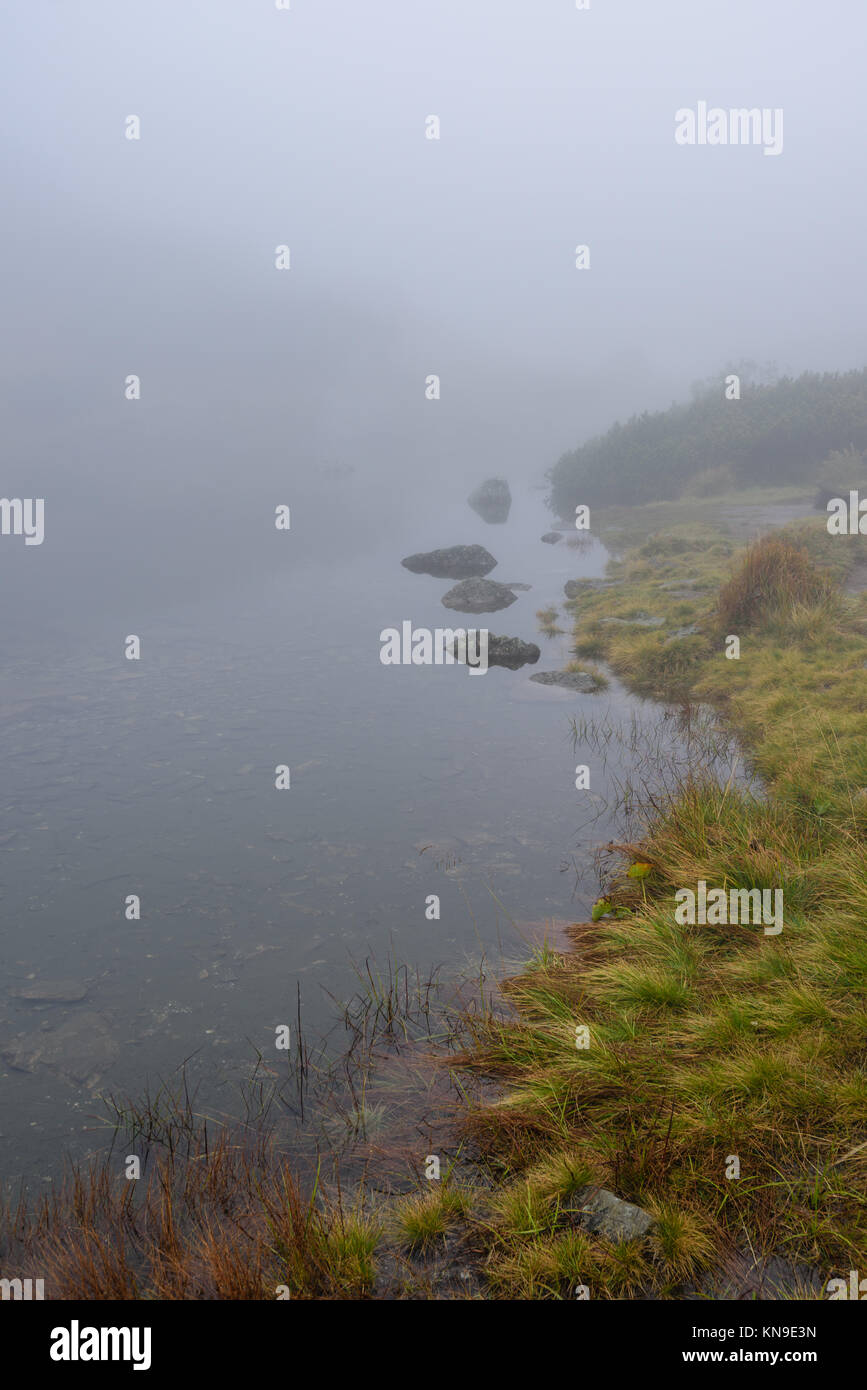 reflections of trees in the lake water at sunrise with morning mist ...