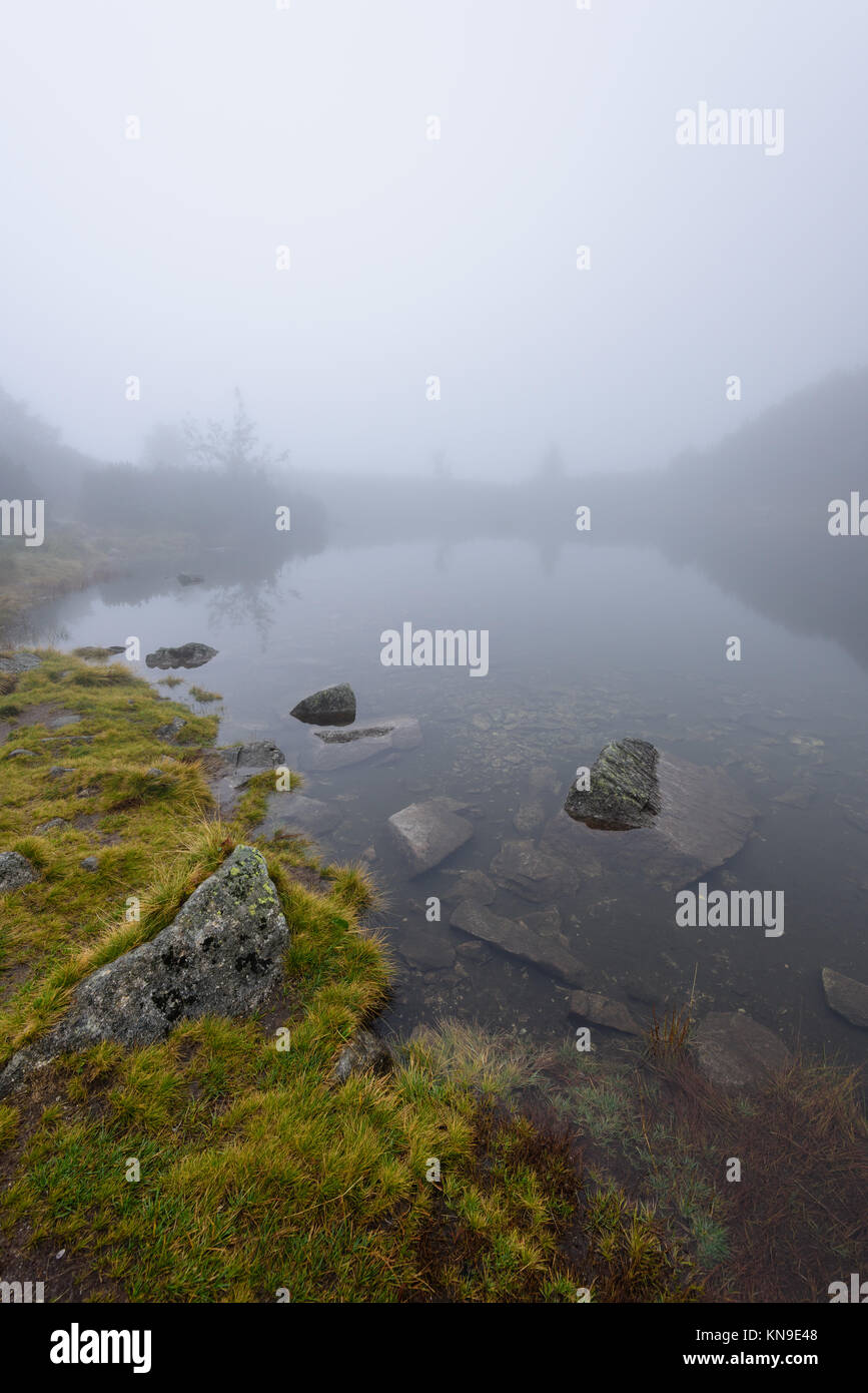 reflections of trees in the lake water at sunrise with morning mist ...