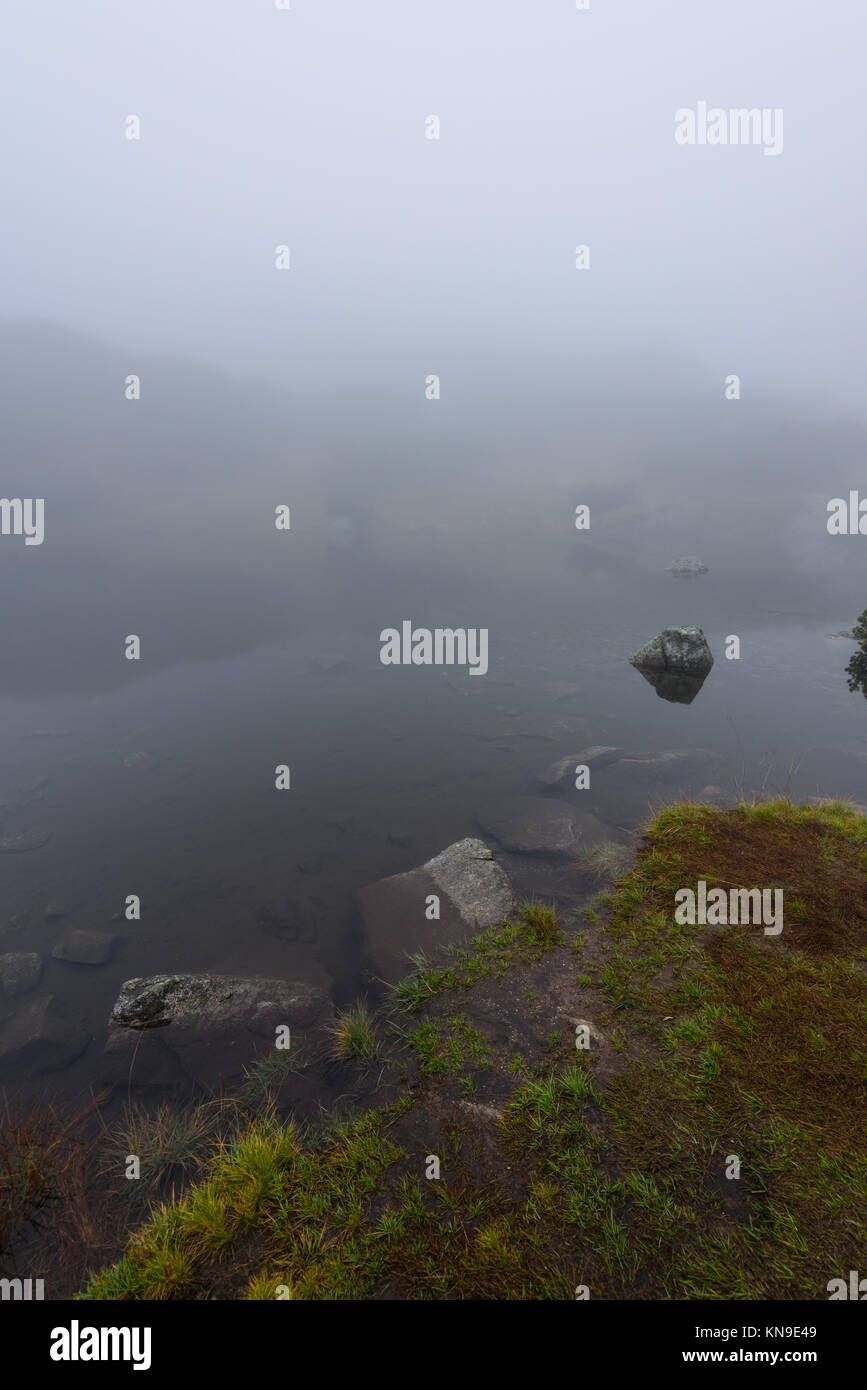 reflections of trees in the lake water at sunrise with morning mist ...
