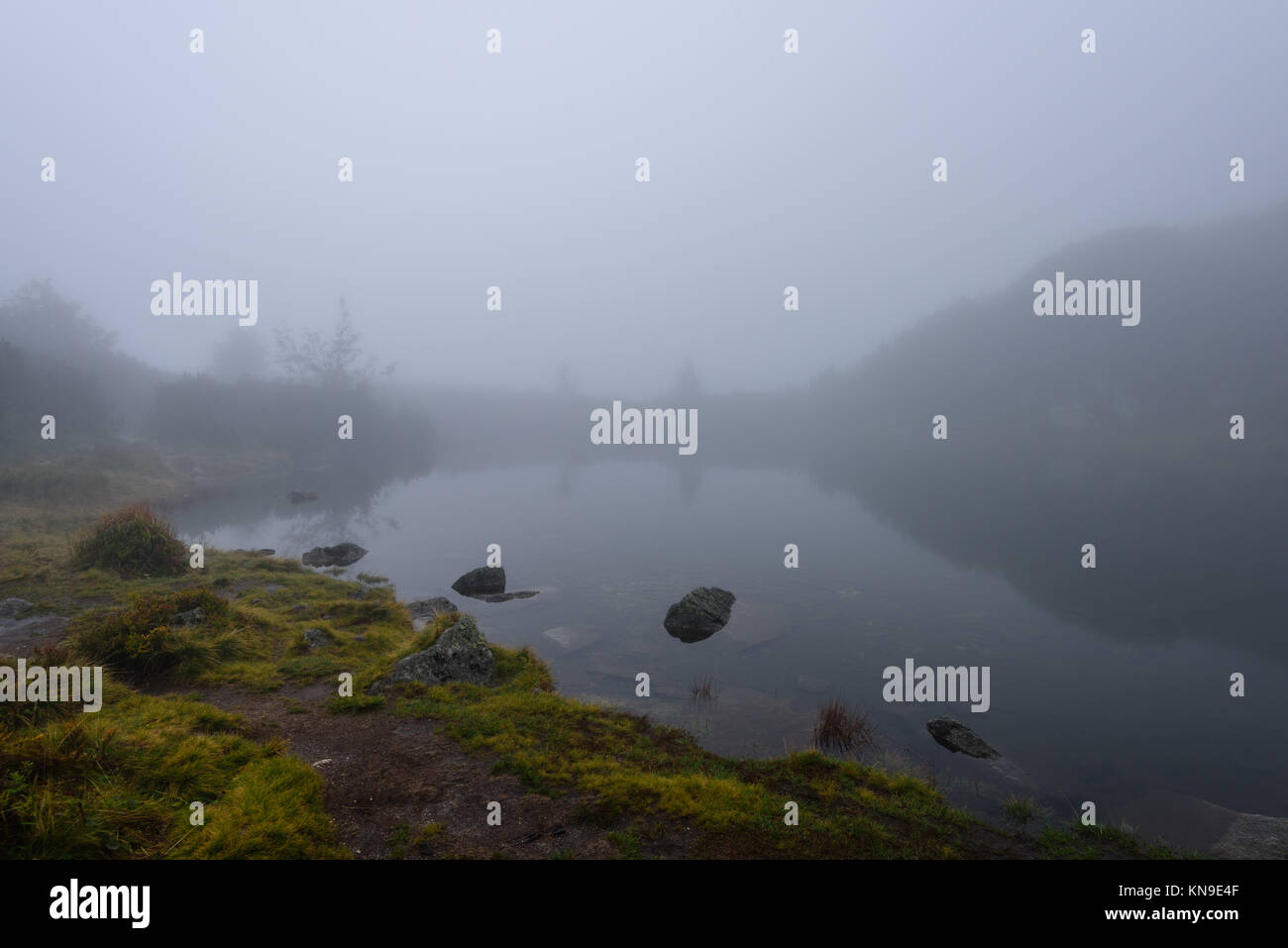 reflections of trees in the lake water at sunrise with morning mist ...