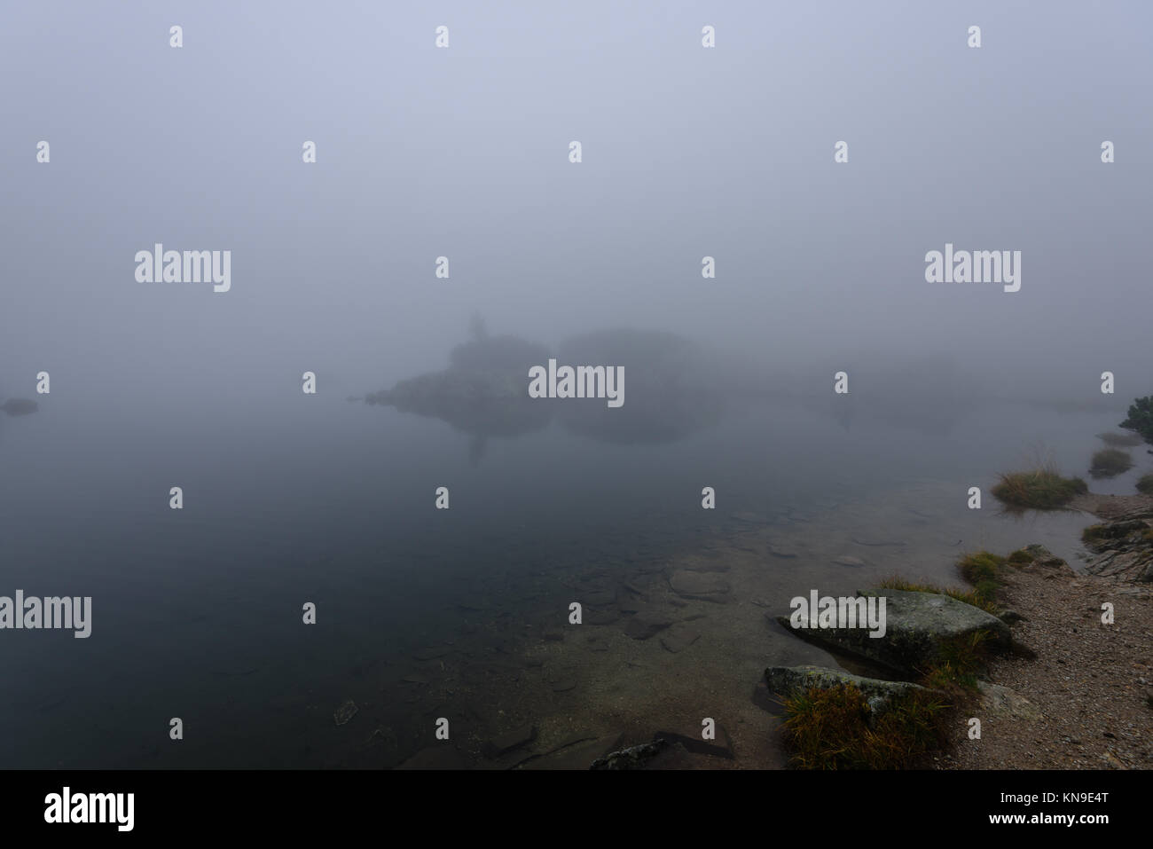 reflections of trees in the lake water at sunrise with morning mist ...