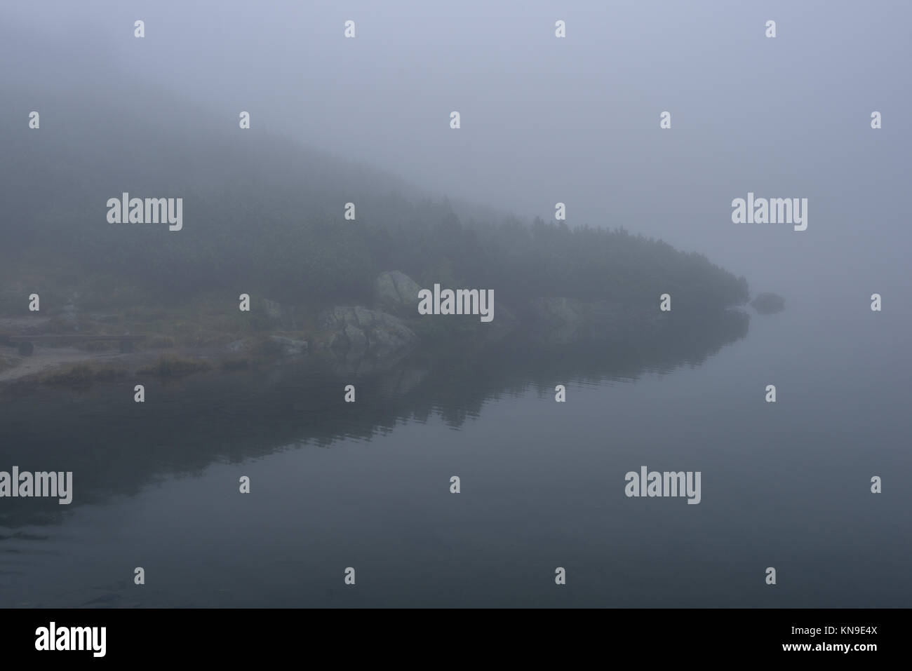 reflections of trees in the lake water at sunrise with morning mist ...