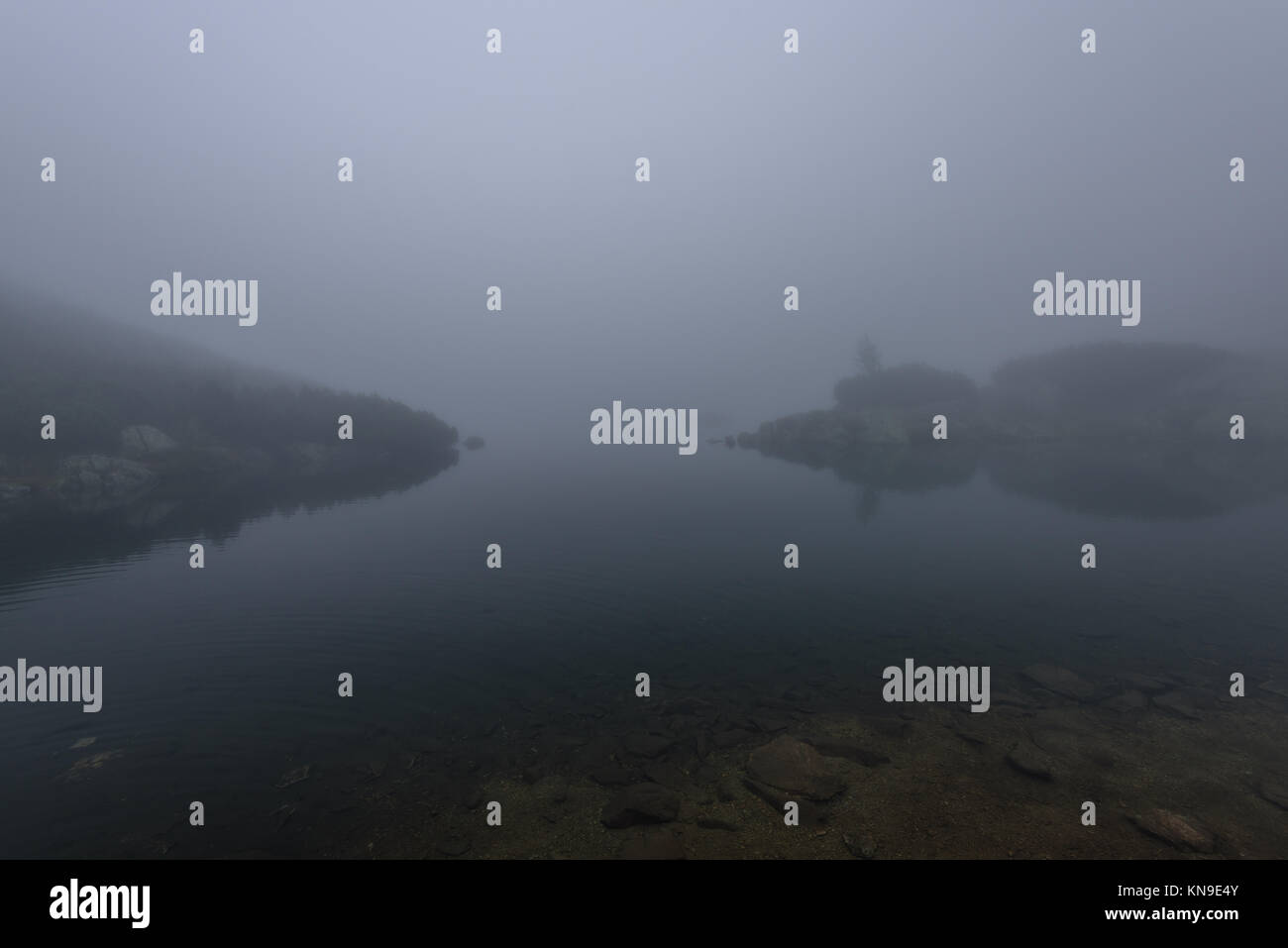 reflections of trees in the lake water at sunrise with morning mist ...