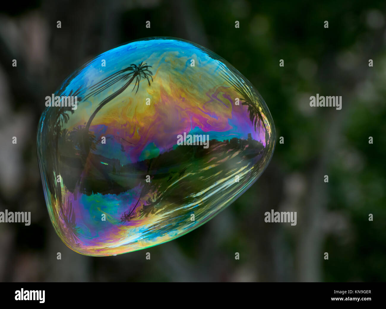 Reflection n the soap bubble Stock Photo