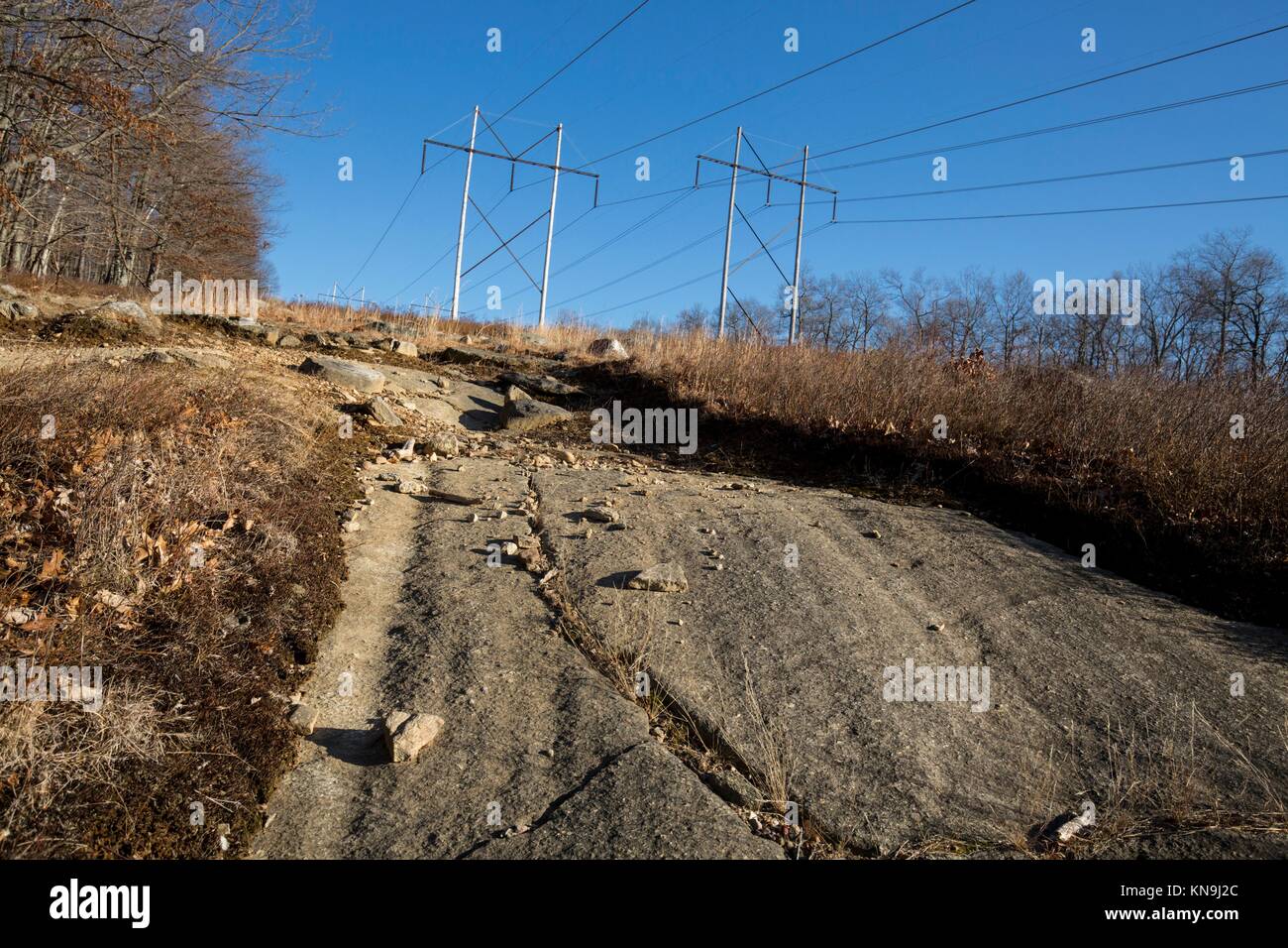 Glacial grooves in bedrock, legacy of the last ice age, at a powerline ...