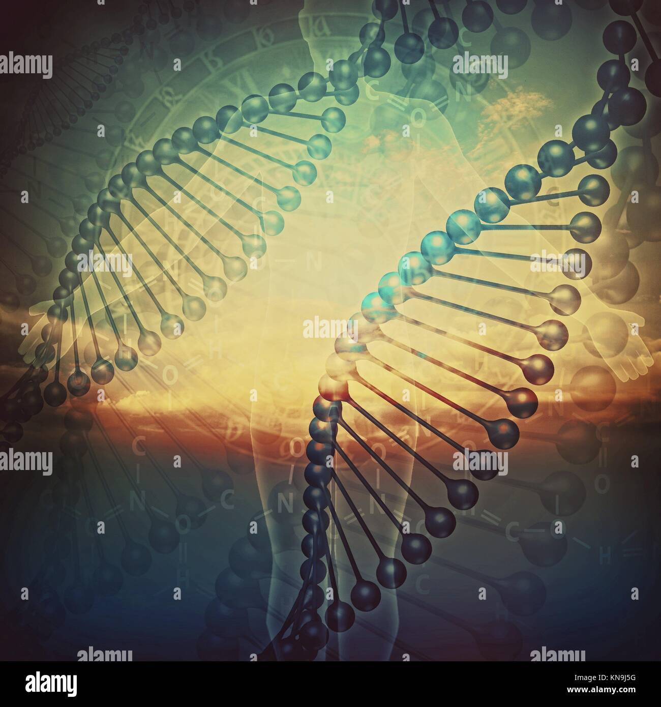 Biology. Abstract education and science backgrounds with human DNA