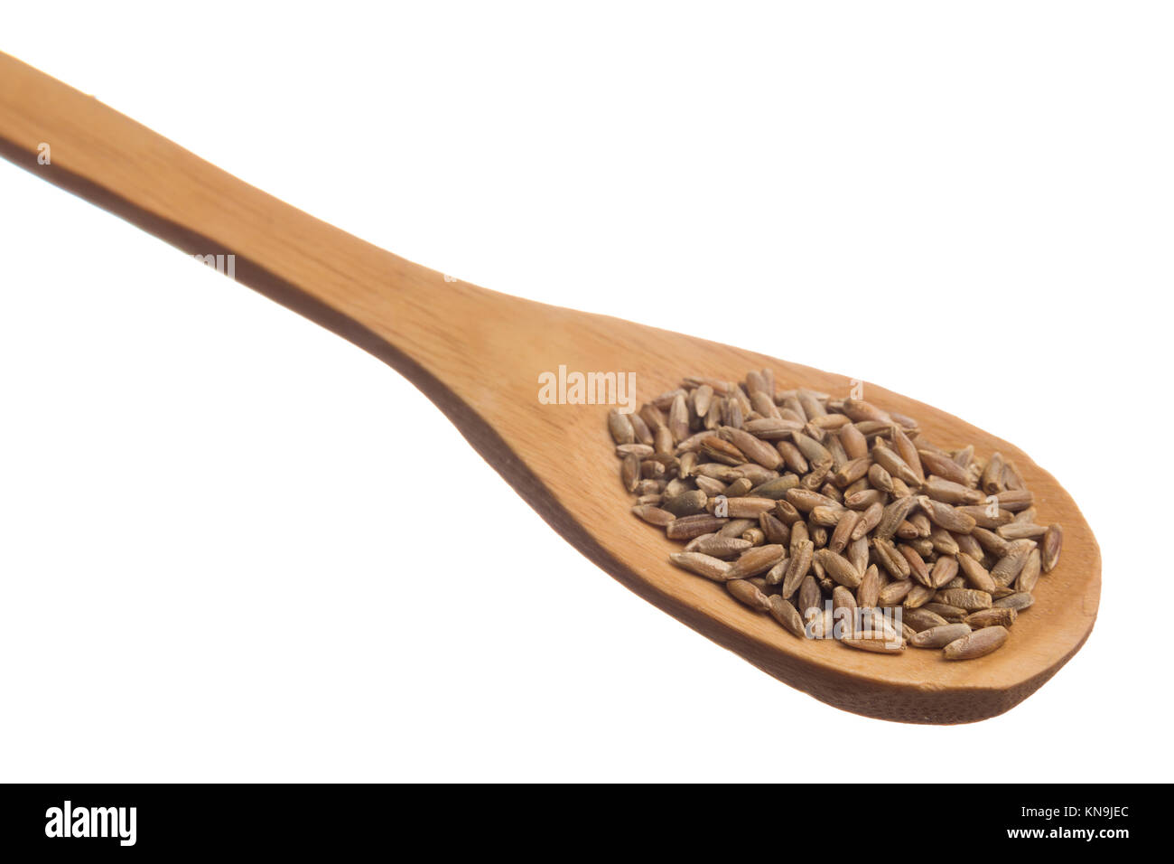 Secale cereale is scientific name of Rye cereal grain. Also known as