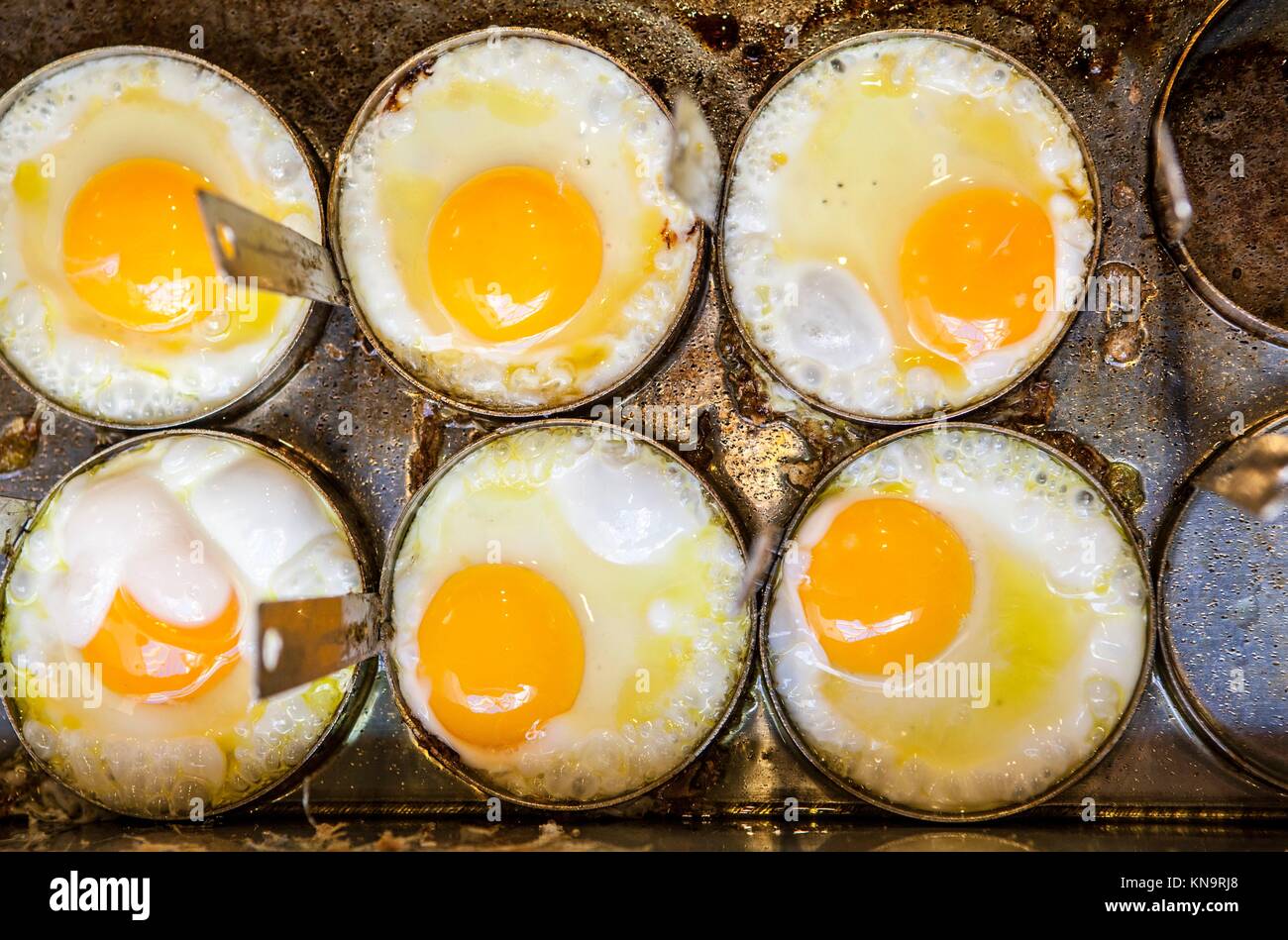 Cooking six fried eggs with moulds on griddle. High angle view Stock