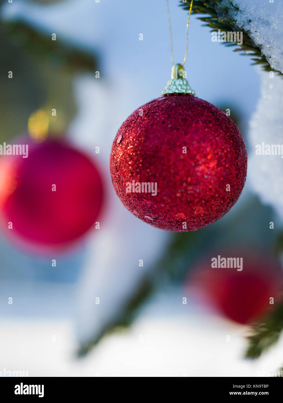 christmas tree red ball decoration with real snow Stock Photo - Alamy