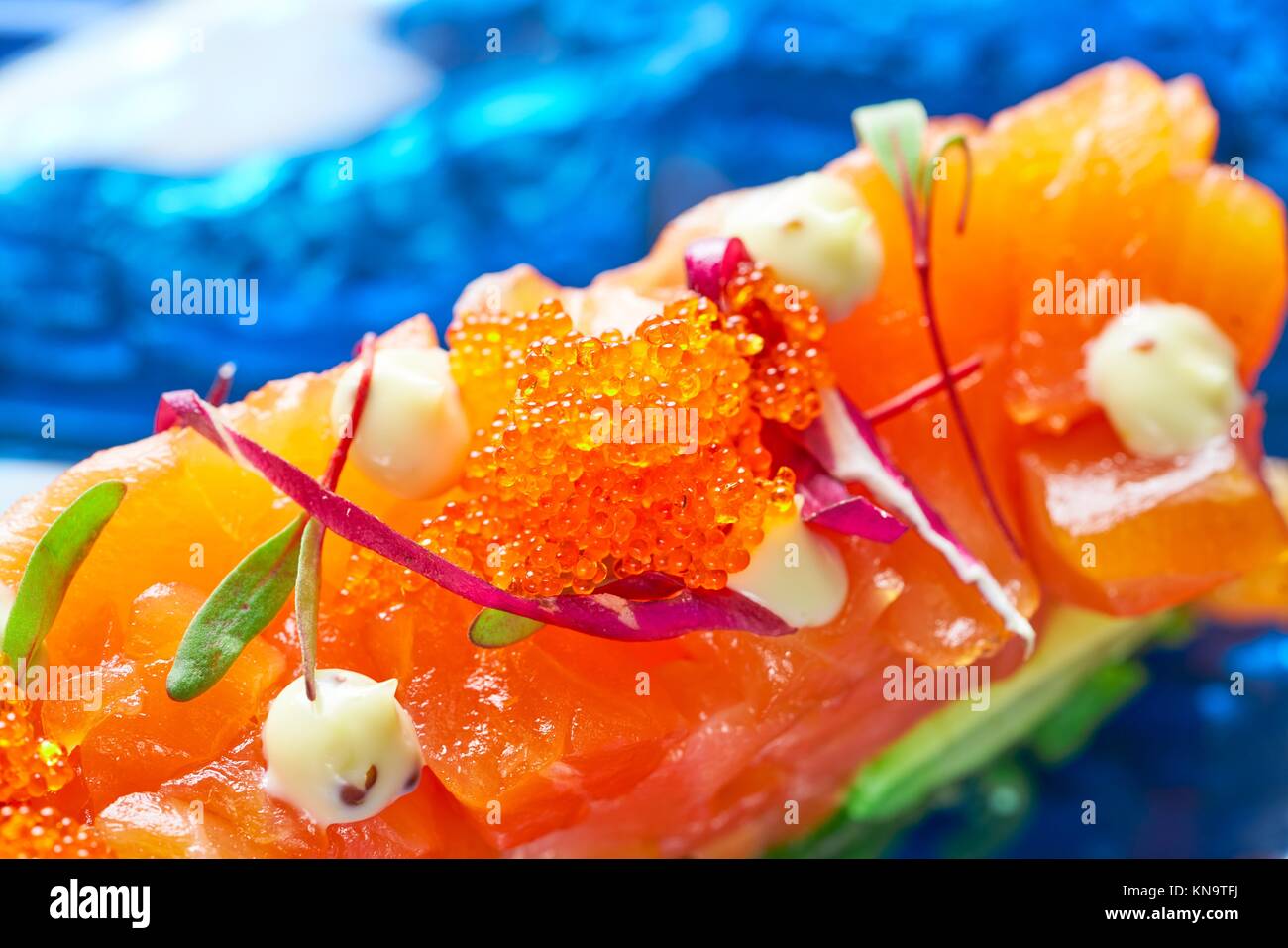 Salmon and avocado Tartare with soya and mustard mayonnaise Tartar