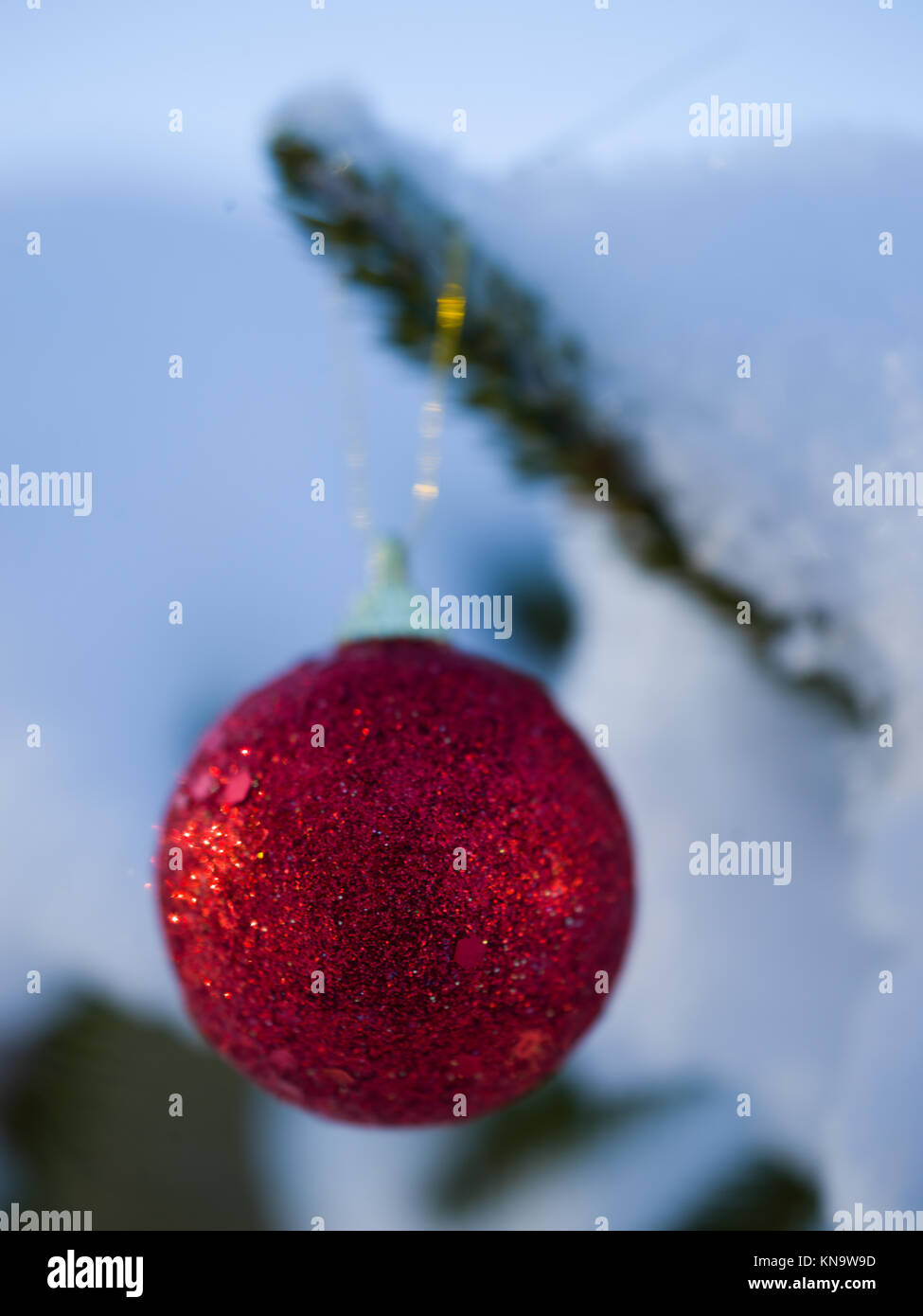 christmas tree red ball decoration with real snow Stock Photo - Alamy