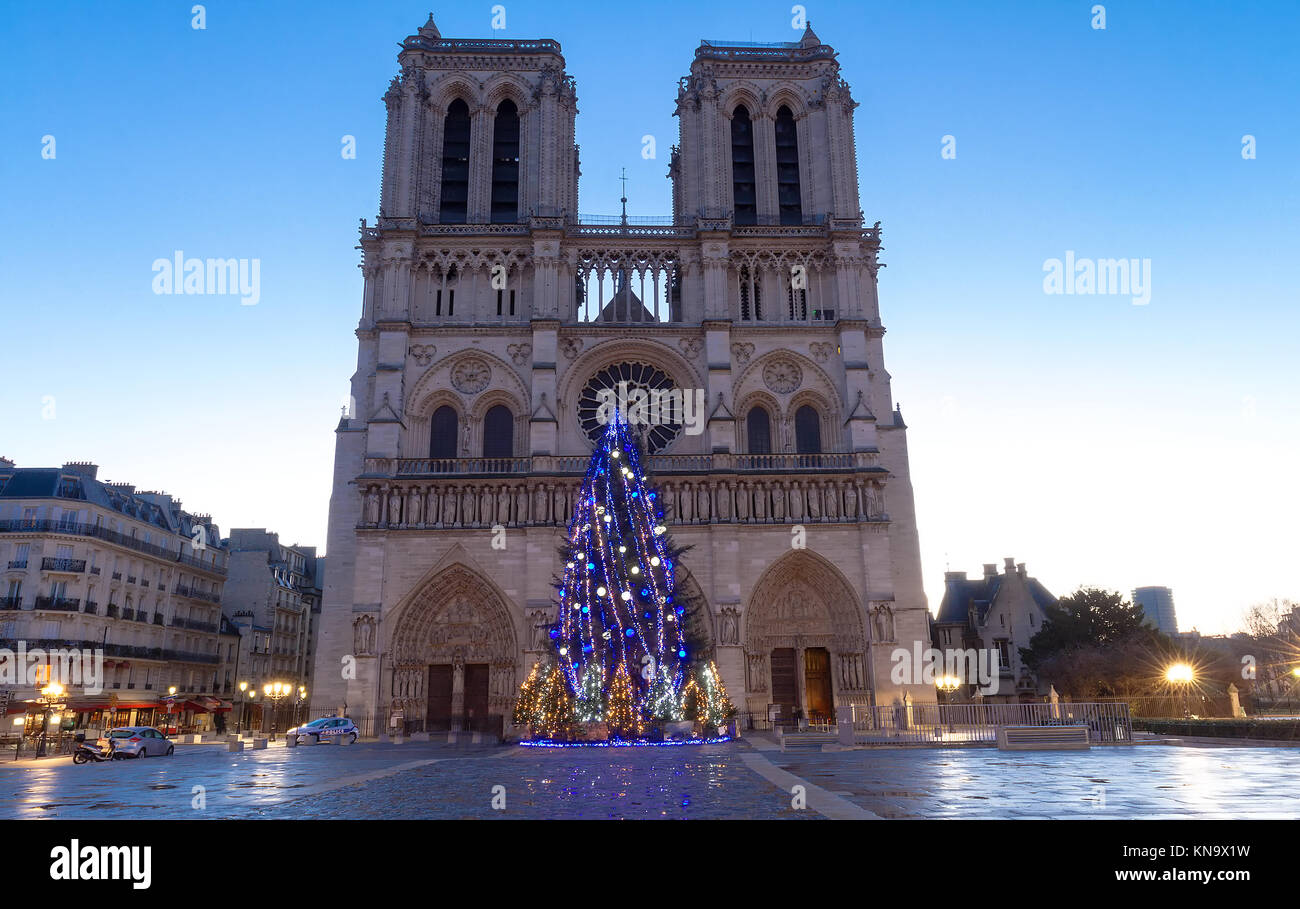 The Notre Dame Cathedral with Christmas tree Paris, France Stock