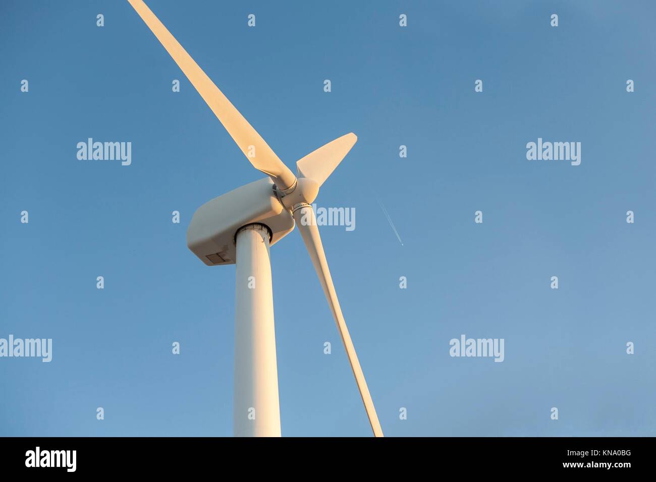 Electric wind turbines farm over blue sky with wake plane, Spain. Stock Photo