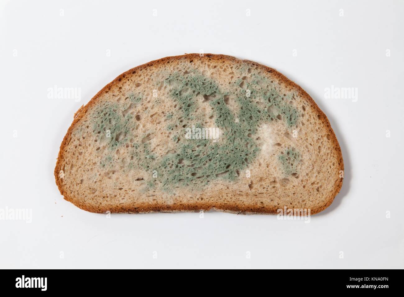 Moldy bread hi-res stock photography and images - Alamy