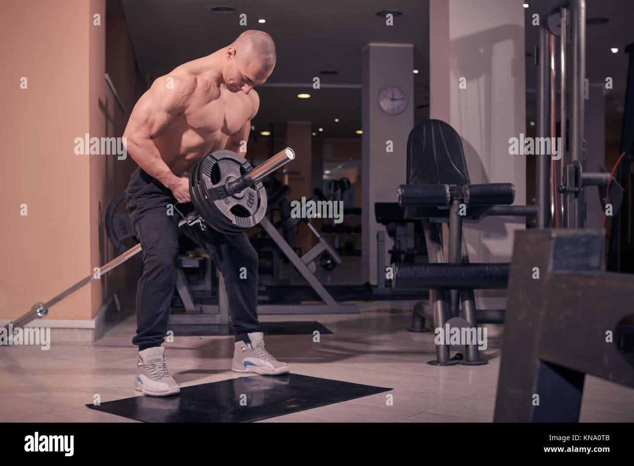 one bodybuilder, T-bar row, gym indroors exercise, muscular strong. Stock Photo