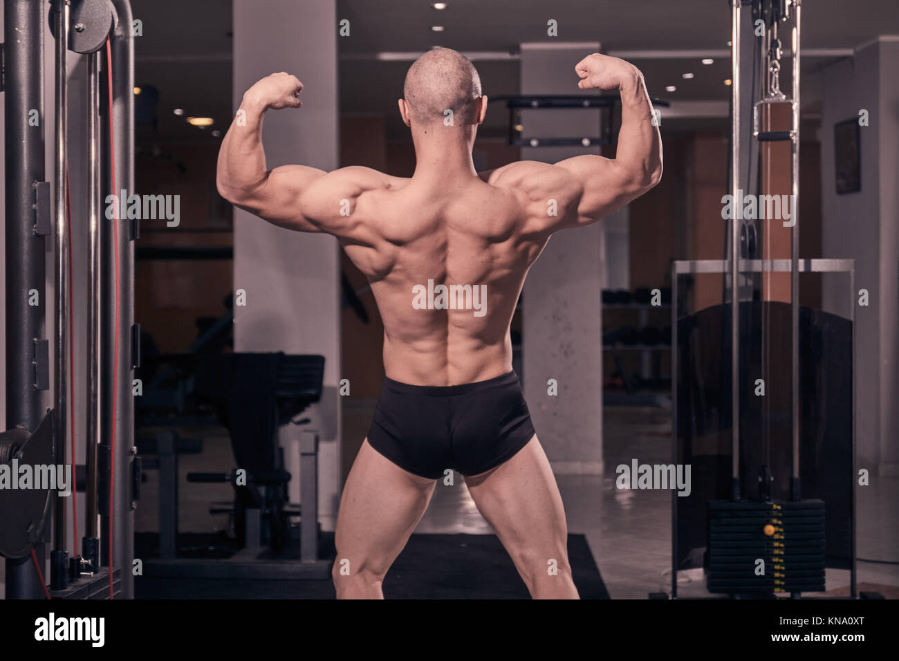 one young bodybuilder posing, rear view, muscular back, gym interior. Stock Photo